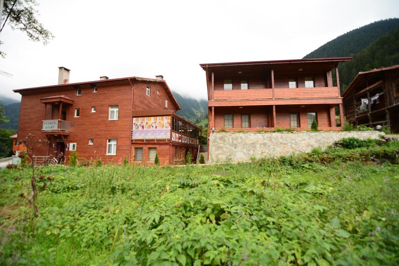 Apart Apartment Uzungöl